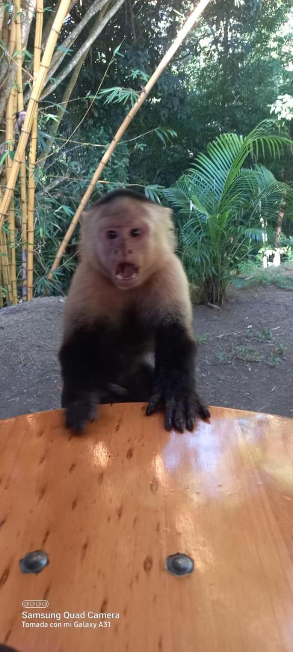 Готель Grand Park Manuel Antonio - Adults Only Екстер'єр фото