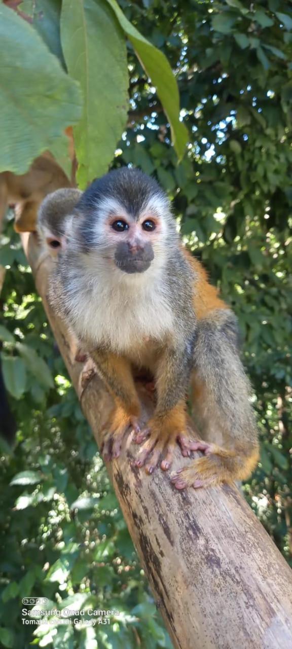 Готель Grand Park Manuel Antonio - Adults Only Екстер'єр фото