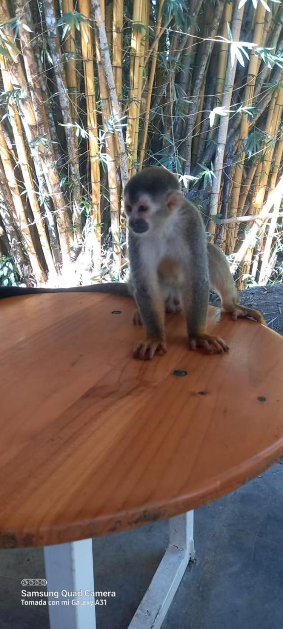 Готель Grand Park Manuel Antonio - Adults Only Екстер'єр фото