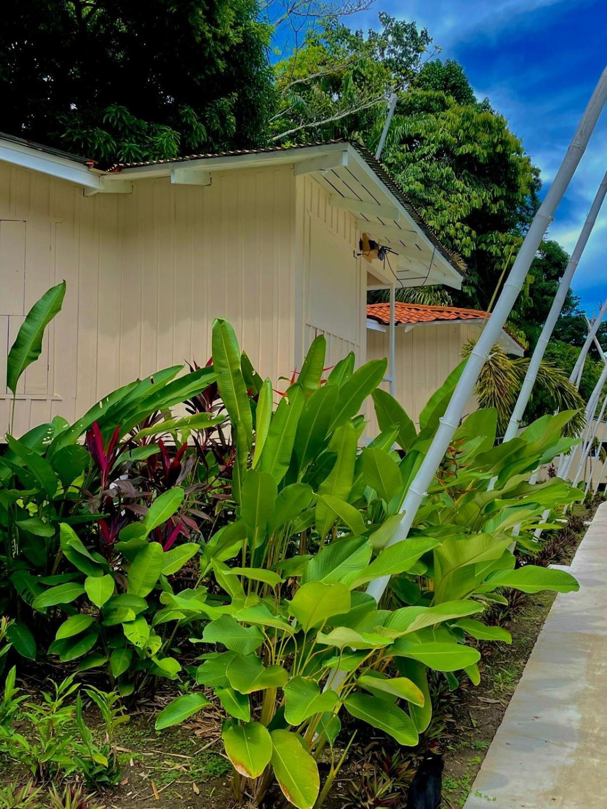 Готель Grand Park Manuel Antonio - Adults Only Екстер'єр фото